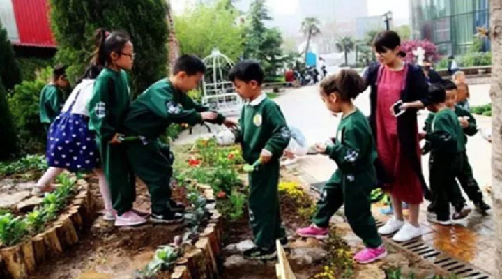 大自然是孩子們在幼兒園時光里最美好的相遇